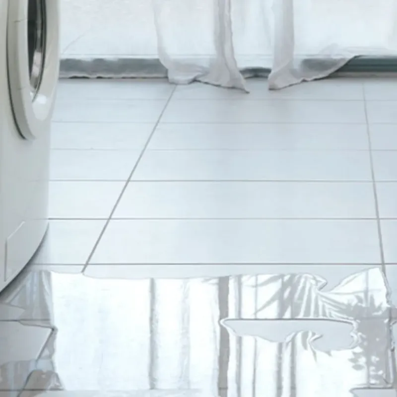 Appliance Leak Cleanup in Sevier County, AR