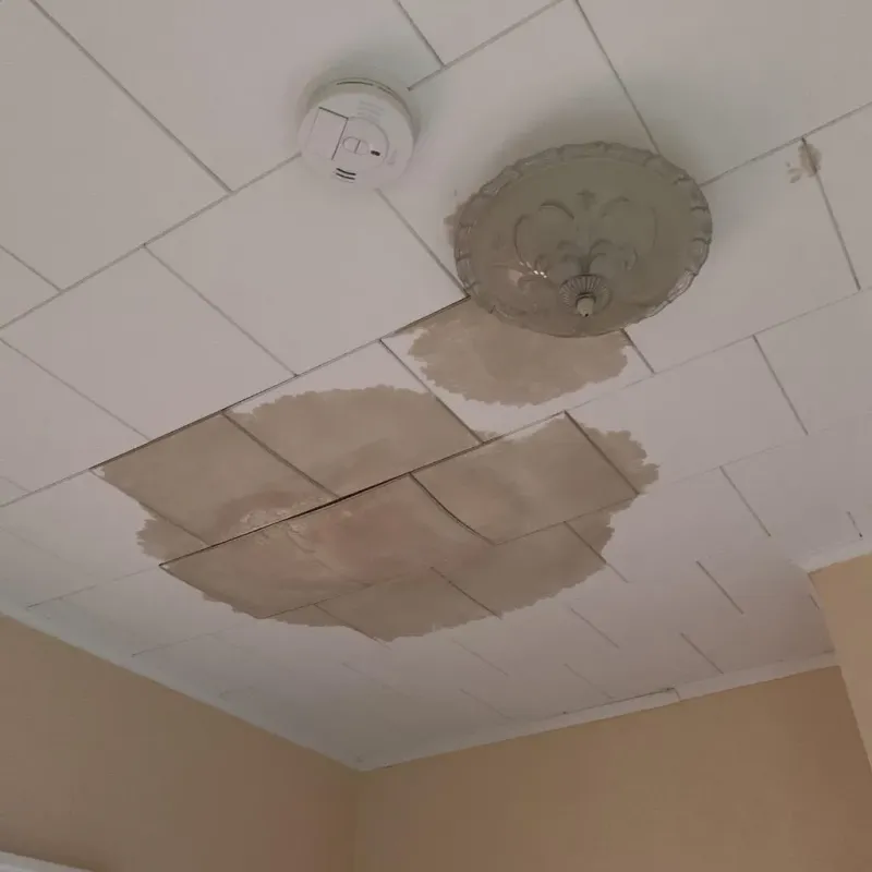 Ceiling Water Damage Repair in Sevier County, AR
